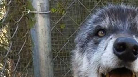 Yuki junto a Brittany Allen.