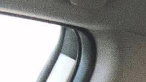 La acompaña a todas partes