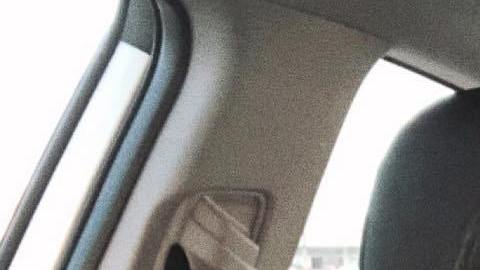 La acompaña a todas partes