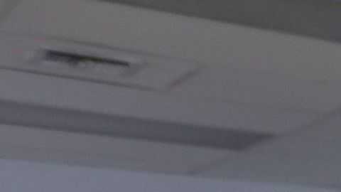 Al menos 200 estudiantes se matricularon en la Northern 
Michigan University para una licenciatura en Química de plantas medicinales en 2018.