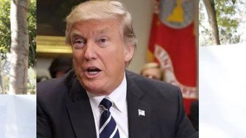 Nuevas cifras dan muestra del emergente poder electoral del voto latino