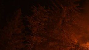 Los incendios de los últimos años han sido catalogados como los más destructivos y mortíferos en la historia del estado.