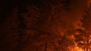 Los incendios de los últimos años han sido catalogados como los más destructivos y mortíferos en la historia del estado.