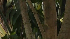 Kim Jong-un y Donald Trump no llegaron a ningún acuerdo.