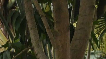 Kim Jong-un y Donald Trump no llegaron a ningún acuerdo.