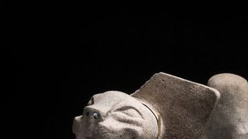 El hallazgo es extraordinario.