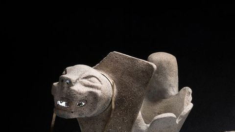 El hallazgo es extraordinario.