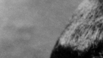 106292575_gettyimages-74286282