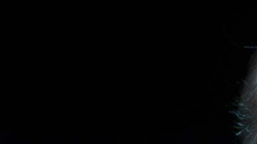 Joe Biden fue el vicepresidente de Barack Obama