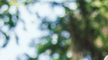 ¿Qué provoca la magia en nuestro cerebro que la hace tan atractiva?