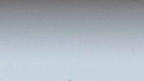 106323555_gettyimages-1130807252