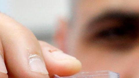 El corazón impreso en 3D tiene el tamaño del de un conejo.