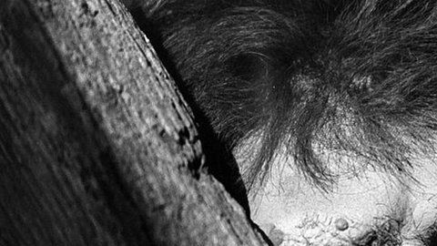 106464471_gettyimages-108093127