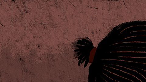 Cuando un doctor miró al bebé por primera vez le puso un signo de interrogación en la casilla de sexo.