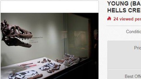 El fósil se vende en eBay por casi tres millones de dólares.