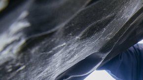 El seguro de desempleo es un colchón financiero de emergencia.