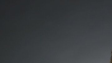 106515158_portrait-ellen-ochoa