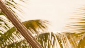 Unos dan hasta 30 días al año-