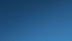 El avestruz es originario de África.