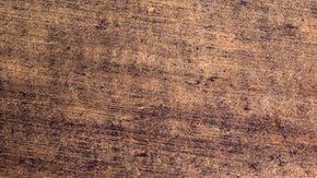 La cuenca del río Amazonas es una de las zonas más afectadas del mundo.