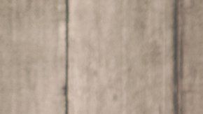 Las experiencias positivas de encuestados en A.L. son sorprendentes.