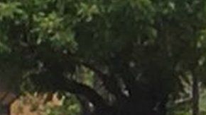 En Maracaibo, una multitud se trasladó hasta el cuartel Libertador.