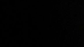 Nueve indocumentados en una furgoneta trataron de burlar a la Patrulla Fronteriza