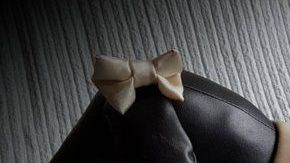 Traje de ceremonia nupcial para perro.