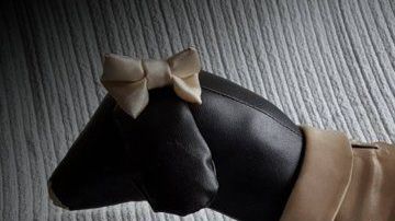 Traje de ceremonia nupcial para perro.