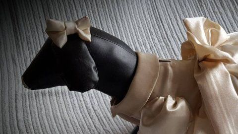 Traje de ceremonia nupcial para perro.