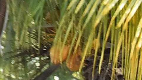 Violencia en México.