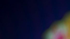 El entrenador del FC Barcelona, Ernesto Valverde.