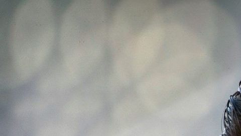 El astro argentino Lionel Messi se está cansando de tanto quilombo con Argentina.