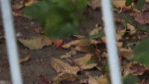 Ciudadanos son reprimidos en una concentración de Guaidó ayer en Caracas