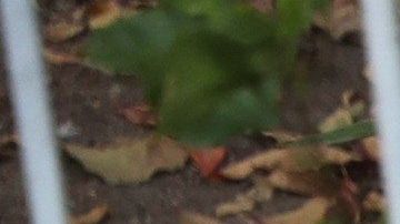 Ciudadanos son reprimidos en una concentración de Guaidó ayer en Caracas