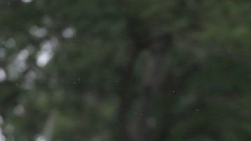 Tiger Woods celebra la consecución del Masters de Augusta 2019.