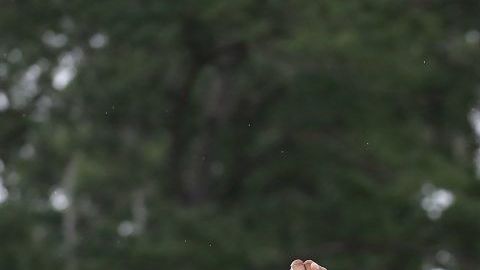 Tiger Woods celebra la consecución del Masters de Augusta 2019.