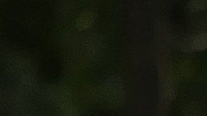 La familia Pérez en imagen del documental.