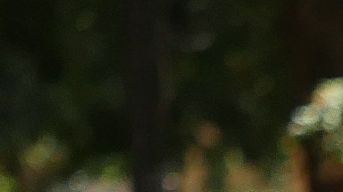 La familia Pérez en imagen del documental.