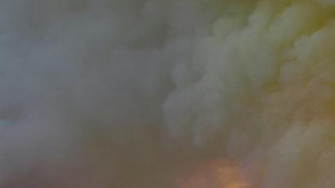 Las llamas arrasaron la aguja de la catedral de Notre Dame, en París.