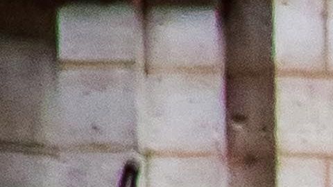 El fuego quedó extinguido en la mañana de este martes.