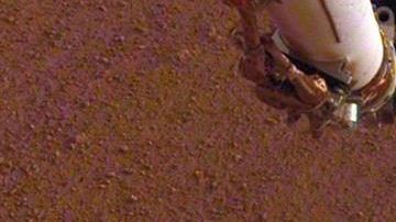 Eel módulo espacial InSight, aterrizó en Marte desde noviembre del año pasado.