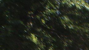 Simpatizantes del regimen de Maduro en Caracas.