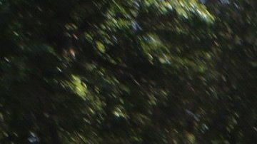 Simpatizantes del regimen de Maduro en Caracas.