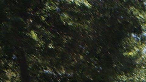 Simpatizantes del regimen de Maduro en Caracas.