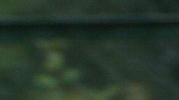 La Policía de Chicago está advirtiendo a los ciclistas en el lado sur que sean cautelosos después de varios robos en un sendero cerca al lago Michigan.