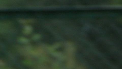 La Policía de Chicago está advirtiendo a los ciclistas en el lado sur que sean cautelosos después de varios robos en un sendero cerca al lago Michigan.