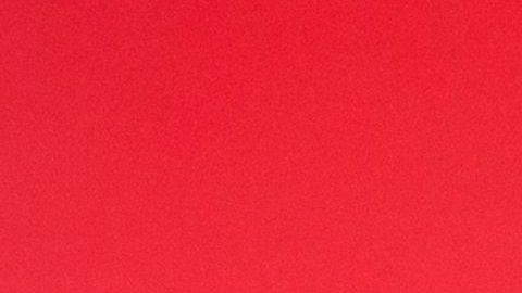 Adal Ramones y su esposa