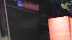 Adamari López y Toni Costa