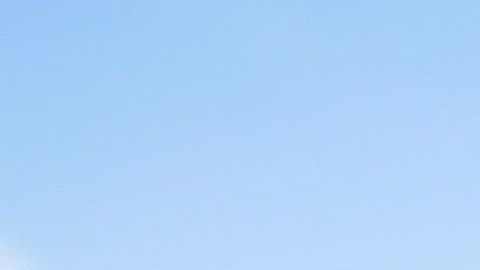 Las mascotas no son objetos, pero la gente los sigue dejando dentro de sus autos